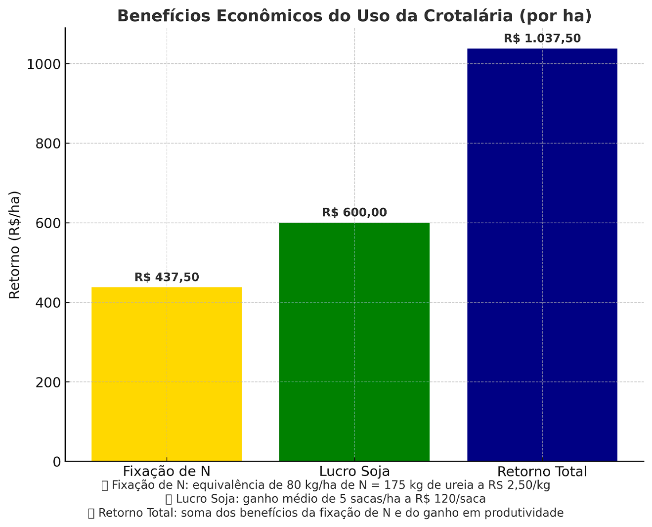 03 grafico
