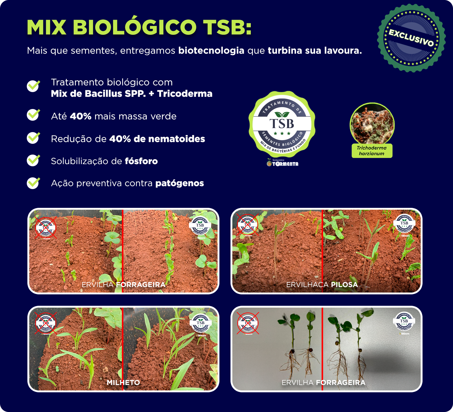 06 tsb