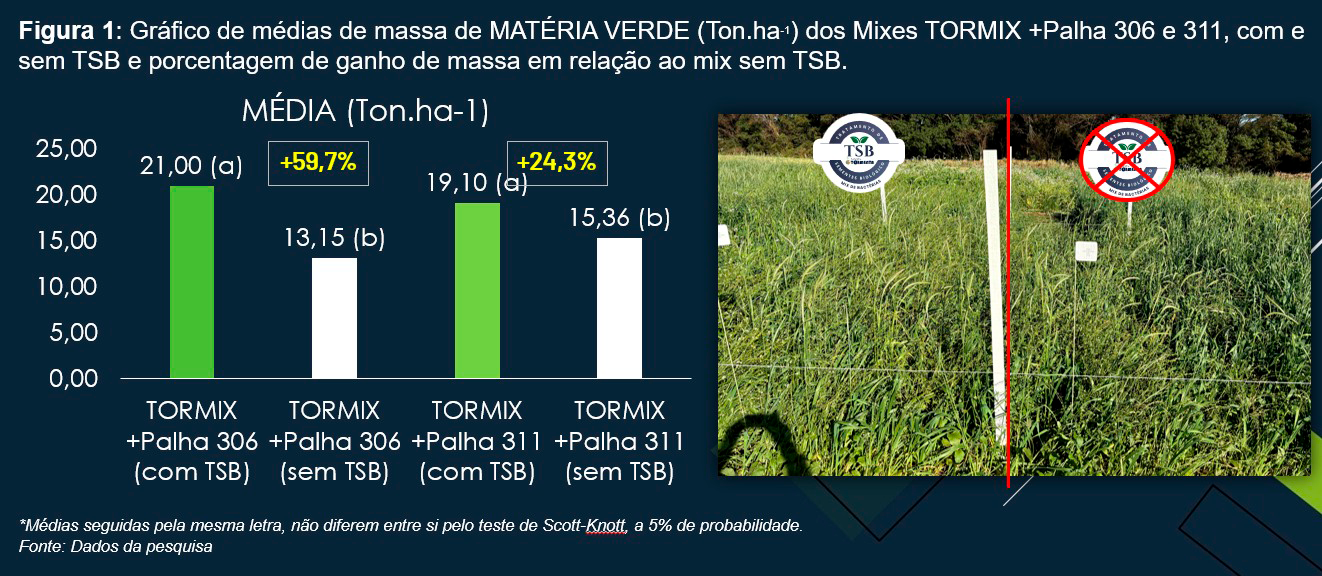 07 grafico